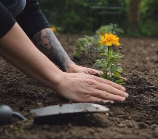 The Value of Supporting Local Businesses: Why It Matters